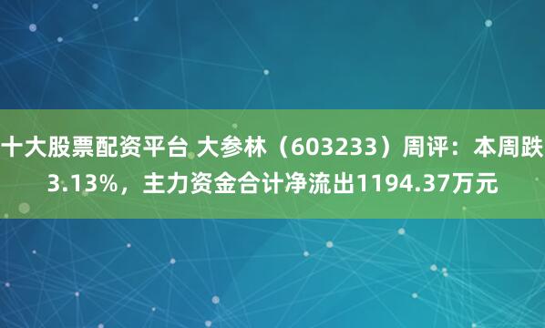 十大股票配资平台 大参林（603233）周评：本周跌3.13%，主力资金合计净流出1194.37万元