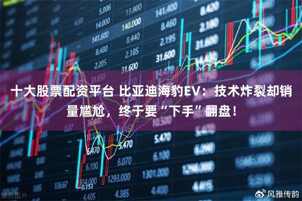 十大股票配资平台 比亚迪海豹EV：技术炸裂却销量尴尬，终于要“下手”翻盘！